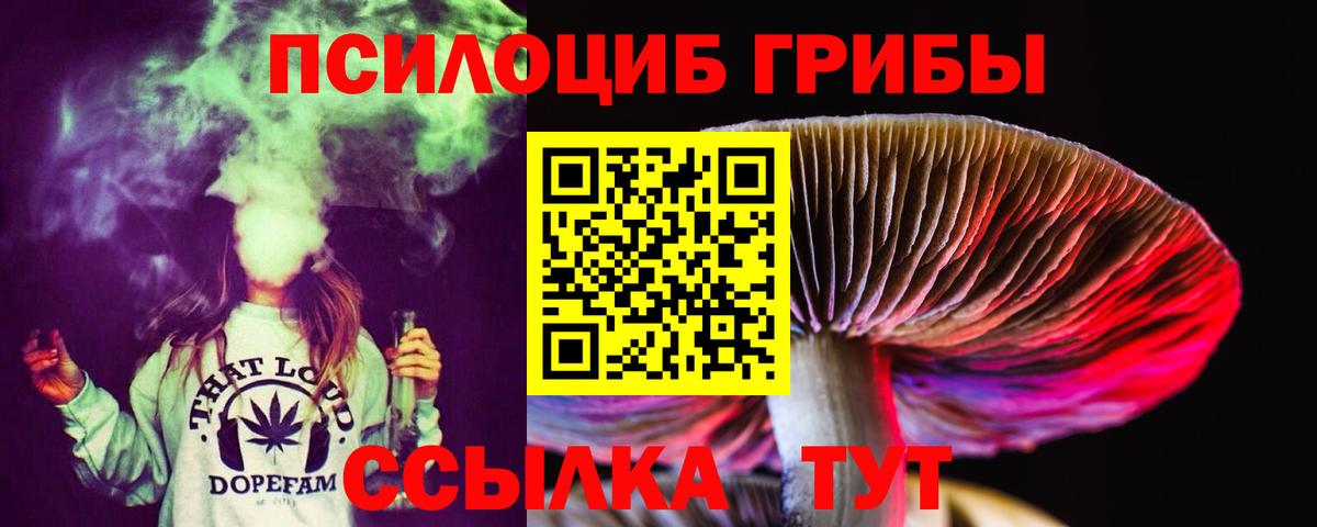 Новочеркасск  Галлюциногенные грибы ЛСД  Вход с VPN  Галлюциногенные грибы Cubensis 